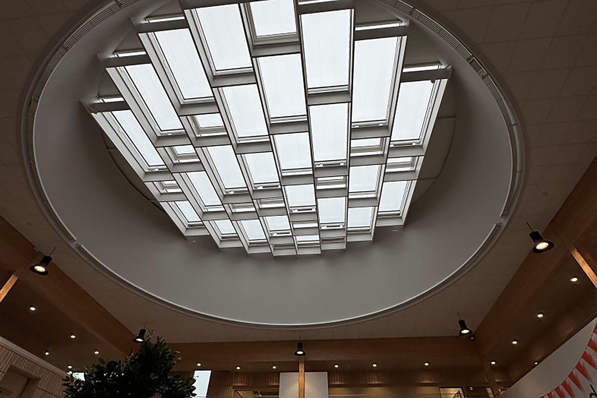 Den Internationale Skole i Billund